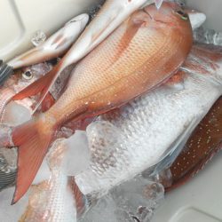 こうゆう丸 釣果