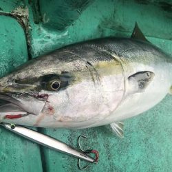 広進丸 釣果