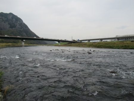 狩野川(狩野川漁業協同組合) 釣果