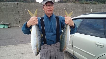 大進丸(新潟) 釣果