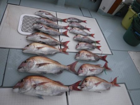 遊漁船 幸友丸 釣果