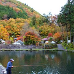 小菅トラウトガーデン 釣果