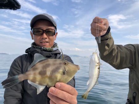 Magic(マジック) 釣果