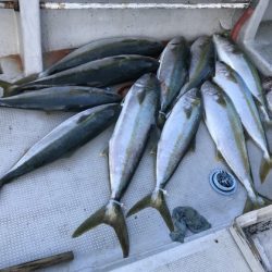 寿裕 （YOSHIHIRO） 釣果