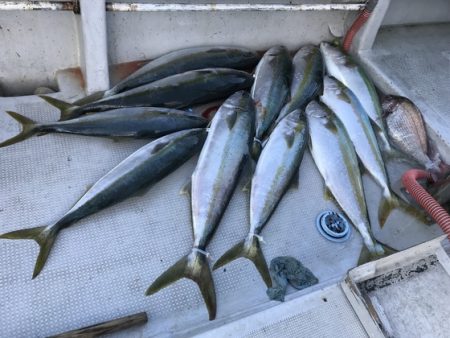 寿裕 （YOSHIHIRO） 釣果