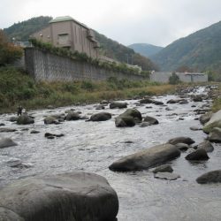 狩野川(狩野川漁業協同組合) 釣果