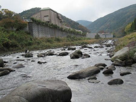 狩野川(狩野川漁業協同組合) 釣果