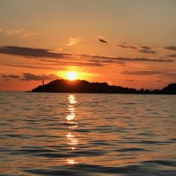 へいみつ丸 釣果