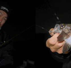 TOPGUN名古屋 釣果