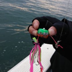 尚人丸 釣果
