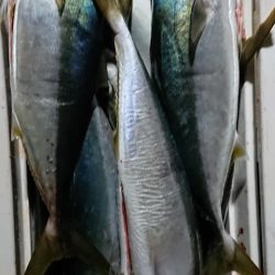 スカイマリン 釣果