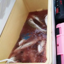 第五慶門丸 釣果