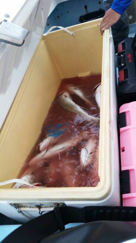 第五慶門丸 釣果