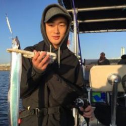 シーマジカル 釣果