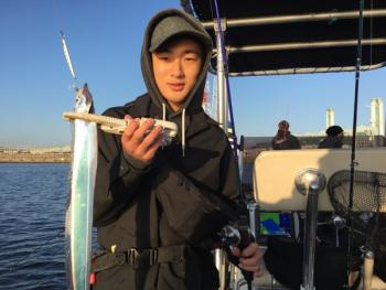 シーマジカル 釣果