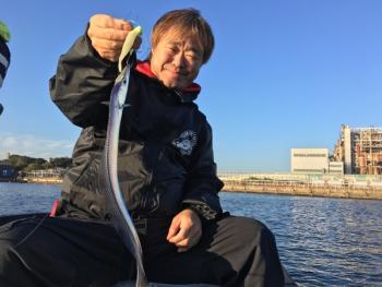 シーマジカル 釣果