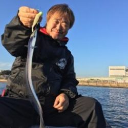 シーマジカル 釣果