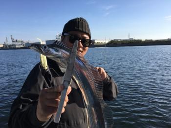 シーマジカル 釣果