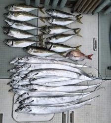 さぶろう丸 釣果