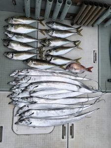 さぶろう丸 釣果