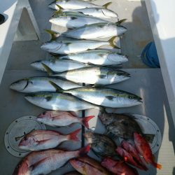 エンペラー 釣果