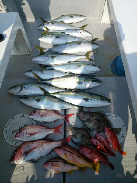 エンペラー 釣果