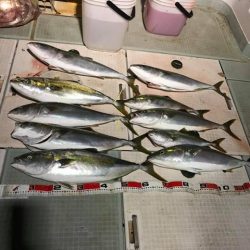 スカイマリン 釣果