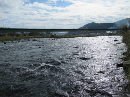 狩野川（狩野川漁業協同組合） 釣果