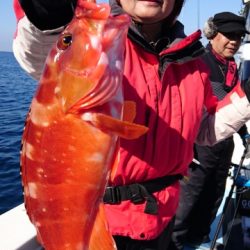 海晴丸 釣果