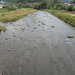 狩野川(狩野川漁業協同組合) 釣果