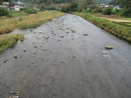 狩野川(狩野川漁業協同組合) 釣果