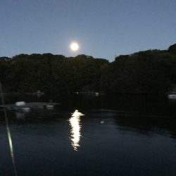 へいみつ丸 釣果