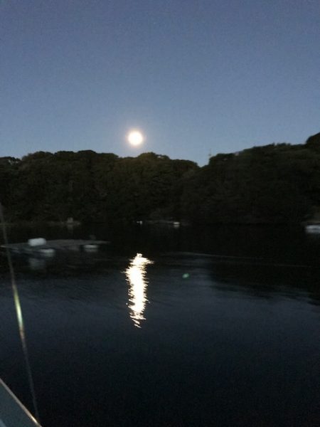 へいみつ丸 釣果