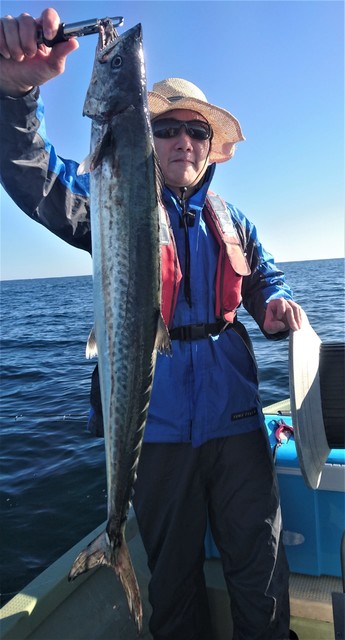 気仙沼　つり丸 釣果