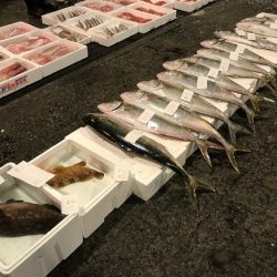 寿裕 （YOSHIHIRO） 釣果