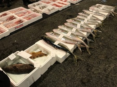 寿裕 （YOSHIHIRO） 釣果