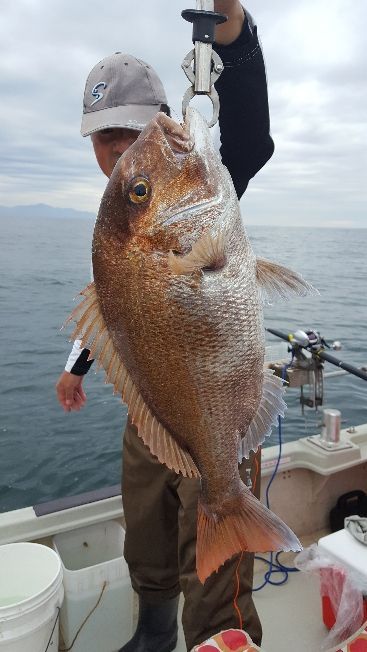 海峰 釣果