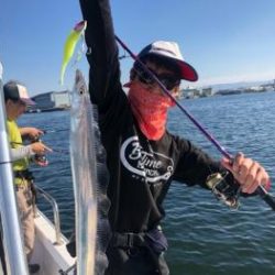 シーマジカル 釣果