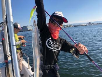 シーマジカル 釣果