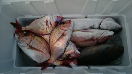 大進丸(新潟) 釣果