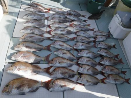 遊漁船 幸友丸 釣果