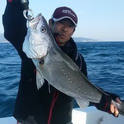 開進丸 釣果