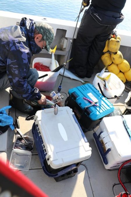 スカイマリン 釣果