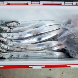 遊漁船　ニライカナイ 釣果