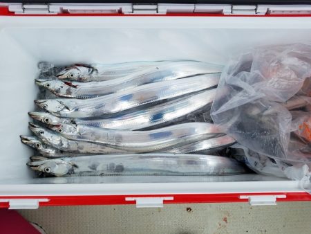 遊漁船　ニライカナイ 釣果