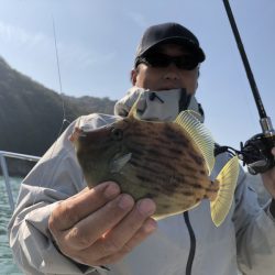 Magic(マジック) 釣果