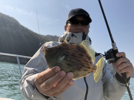 Magic(マジック) 釣果