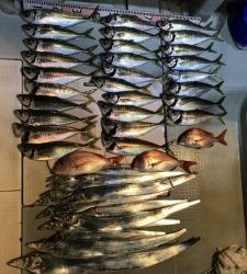 さぶろう丸 釣果