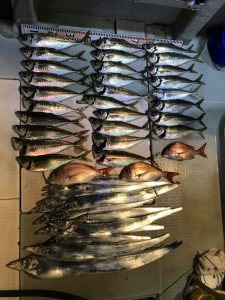 さぶろう丸 釣果