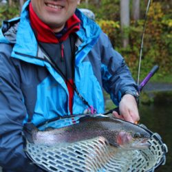 小菅トラウトガーデン 釣果